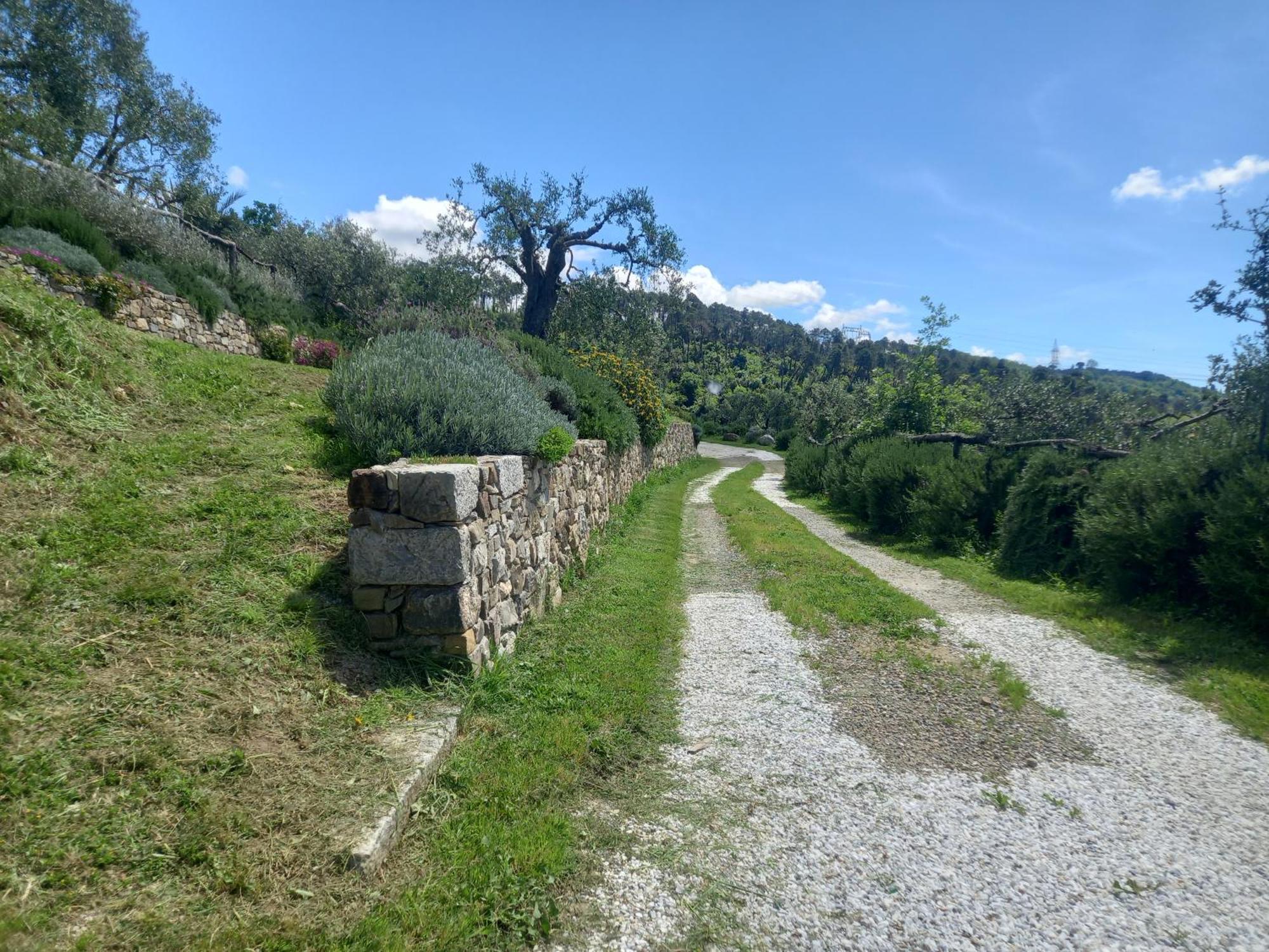 Il Colle Della Brina Hotel Sarzana Eksteriør billede
